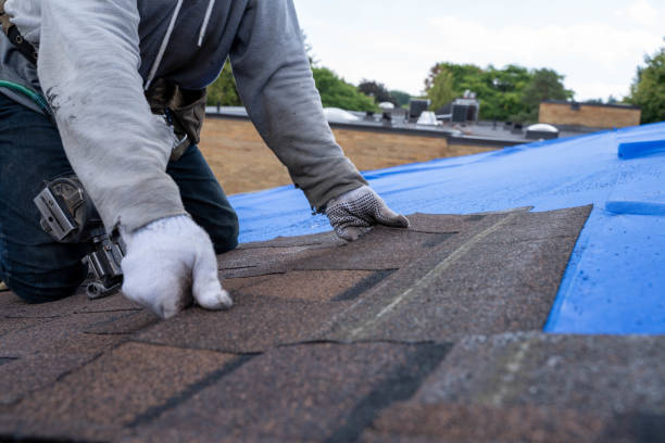 Roof Insulation Installation in Diboll, TX